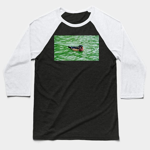 Wood Duck Swimming In a Pond Baseball T-Shirt by BackyardBirder